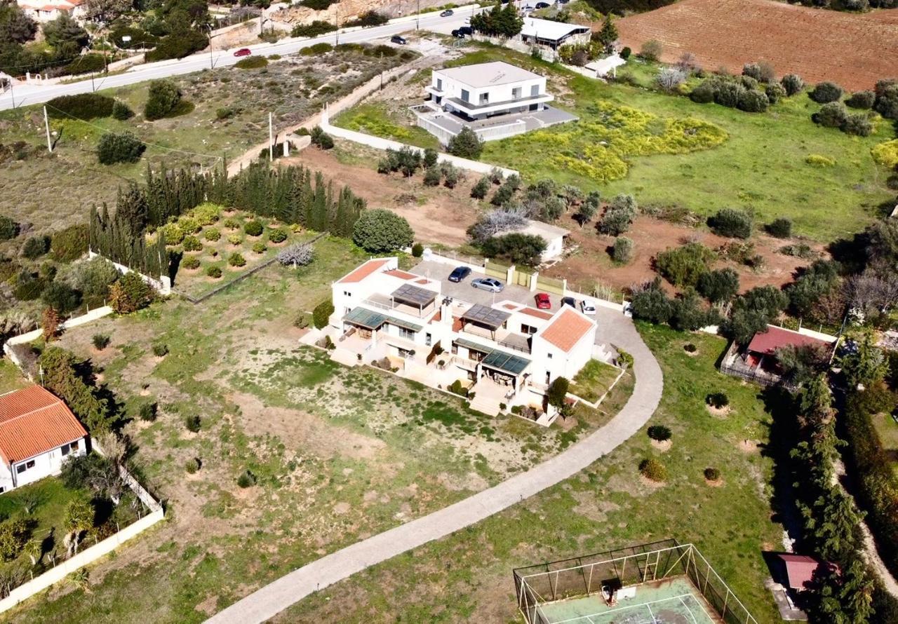 Legrena Beach Villa Σούνιο Εξωτερικό φωτογραφία