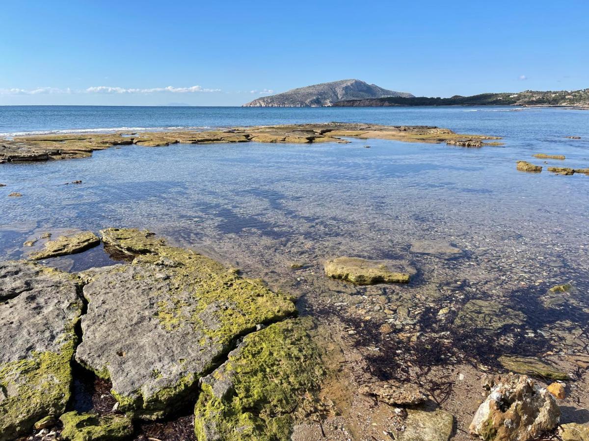 Legrena Beach Villa Σούνιο Εξωτερικό φωτογραφία