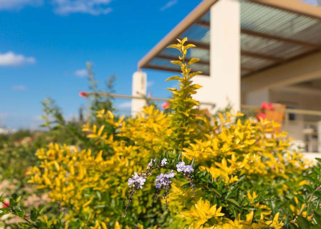 Legrena Beach Villa Σούνιο Εξωτερικό φωτογραφία
