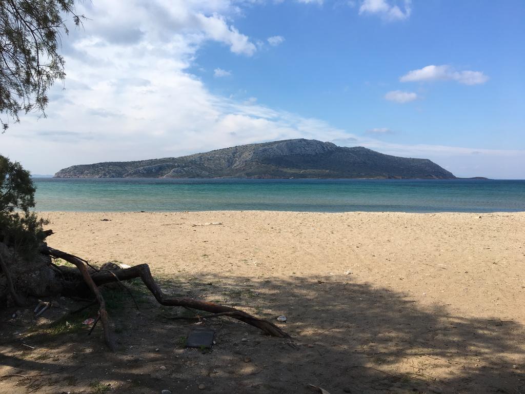 Legrena Beach Villa Σούνιο Εξωτερικό φωτογραφία